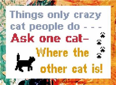 (image for) Crazy Cat Person